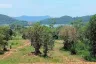 Land for sale in Na Jomtien, Chonburi