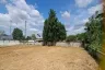 Land for sale in Nong Prue, Chonburi