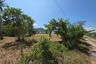 Land for sale in Pa Khlok, Phuket
