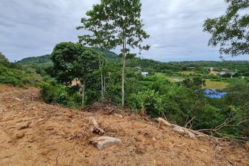 Land for sale in Sakhu, Phuket