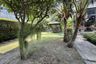 4 Bedroom House for Sale or Rent in The Plant Exclusique Phatthanakan, Suan Luang, Bangkok near MRT Khlong Kalantan