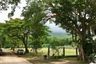 6 Bedroom House for sale in Suthep, Chiang Mai