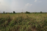 Land for sale in Bo Win, Chonburi
