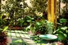 3 Bedroom Condo for sale in Nimit Langsuan, Lumpini, Bangkok near BTS Ratchadamri