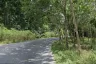 Land for sale in Bang Sai, Phang Nga