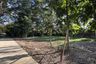 Land for sale in Village of Baan Rim Naam, San Phi Suea, Chiang Mai