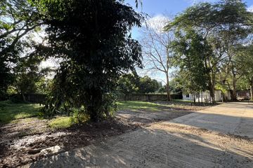 Land for sale in Village of Baan Rim Naam, San Phi Suea, Chiang Mai
