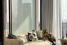 1 Bedroom Condo for Sale or Rent in The Estelle Phrom Phong, Khlong Tan, Bangkok near BTS Phrom Phong