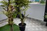 3 Bedroom Condo for rent in Sun Palace Condominium, Bang Kapi, Bangkok near MRT Thailand Cultural Centre