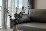 1 Bedroom Condo for rent in Quattro by Sansiri, Khlong Tan Nuea, Bangkok near BTS Thong Lo