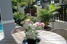 3 Bedroom House for sale in Baan Dusit Pattaya View, Huai Yai, Chonburi