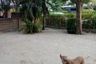 3 Bedroom House for sale in Habitia Panyaintra 2, Sam Wa Tawan Tok, Bangkok
