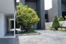 5 Bedroom Villa for sale in Nong Prue, Chonburi