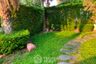 4 Bedroom House for sale in Granada Pinklao-Phetkasem, Bang Khae Nuea, Bangkok