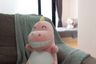 1 Bedroom Condo for sale in Bang Wa, Bangkok near MRT Phetkasem 48