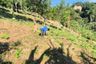 Land for sale in Sakhu, Phuket