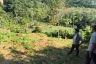 Land for sale in Sakhu, Phuket