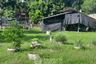 2 Bedroom House for sale in Huai Yai, Chonburi