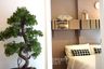 2 Bedroom Condo for sale in Chambers Chaan Ladprao - Wanghin, Lat Phrao, Bangkok