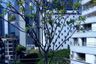 1 Bedroom Condo for sale in The Nest Ploenchit, Lumpini, Bangkok near BTS Ploen Chit