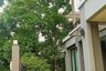 5 Bedroom House for Sale or Rent in Passorn Wongwaen-Ramintra, Khan Na Yao, Bangkok