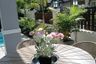 3 Bedroom House for sale in Baan Dusit Pattaya View, Huai Yai, Chonburi