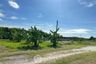 1 Bedroom House for sale in Ang Sila, Chonburi