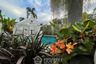 3 Bedroom Villa for sale in Nirvana pool villa 1, Nong Prue, Chonburi