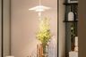 1 Bedroom Condo for sale in 28 Chidlom, Lumpini, Bangkok near BTS Chit Lom
