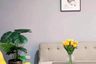9 Bedroom House for sale in Grange Park Villas, Nong Prue, Chonburi