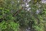 Land for sale in Pak Nam, Krabi
