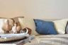 1 Bedroom Condo for rent in Phra Khanong, Bangkok near BTS On Nut