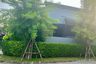 3 Bedroom Townhouse for rent in Siri Place Suksawat - Rama 3, Bang Mot, Bangkok
