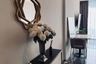 1 Bedroom Condo for rent in 168 Sukhumvit 36, Phra Khanong, Bangkok near BTS Thong Lo