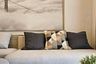 1 Bedroom Condo for rent in The Rich Sathorn Wongwian Yai, Samre, Bangkok near BTS Wongwian Yai