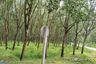 Land for sale in Khao Khan Song, Chonburi