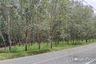 Land for sale in Khao Khan Song, Chonburi