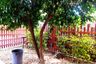 2 Bedroom House for sale in Nong Prue, Chonburi