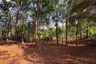 Land for sale in Pa Khlok, Phuket