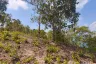 Land for sale in Taling Ngam, Surat Thani