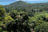 Land for sale in Mae Nam, Surat Thani