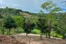 Land for sale in Mae Nam, Surat Thani