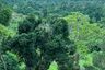 Land for sale in Mae Nam, Surat Thani
