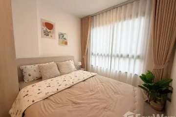 1 Bedroom Condo for rent in THE BASE Bukit, Wichit, Phuket