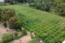 Land for sale in Nong Pla Lai, Chonburi