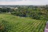 Land for sale in Nong Pla Lai, Chonburi
