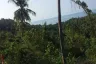 Land for sale in Maret, Surat Thani