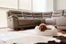 3 Bedroom Condo for sale in Magnolias Ratchadamri Boulevard, Lumpini, Bangkok near BTS Ratchadamri