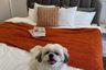 2 Bedroom Condo for sale in Wang Thonglang, Bangkok