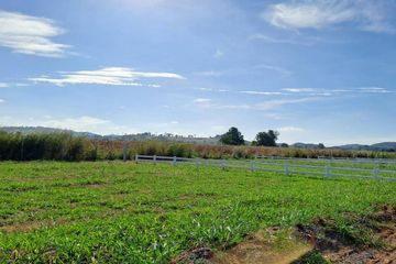 Land for sale in Khlong Muang, Nakhon Ratchasima